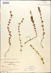 000015034-thumbnail.jpg