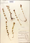 000015035-thumbnail.jpg