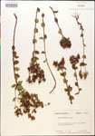 000015036-thumbnail.jpg