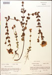 000015038-thumbnail.jpg