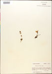 000015039-thumbnail.jpg