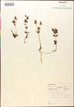 000015040-thumbnail.jpg