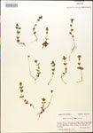 000015041-thumbnail.jpg