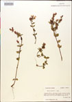 000015042-thumbnail.jpg