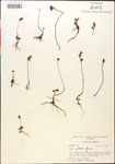 000015043-thumbnail.jpg