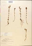 000015044-thumbnail.jpg