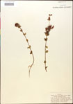 000015045-thumbnail.jpg
