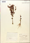 000015046-thumbnail.jpg