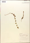 000015047-thumbnail.jpg