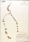 000015048-thumbnail.jpg