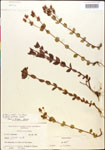 000015049-thumbnail.jpg