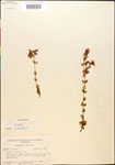 000015050-thumbnail.jpg