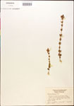 000015051-thumbnail.jpg