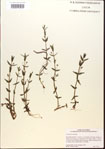 000015052-thumbnail.jpg
