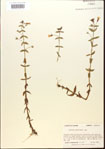 000015053-thumbnail.jpg