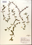 000015054-thumbnail.jpg