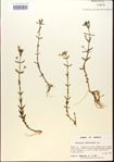 000015055-thumbnail.jpg