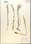 000015057-thumbnail.jpg