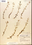 000015058-thumbnail.jpg