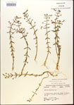 000015059-thumbnail.jpg