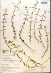 000015061-thumbnail.jpg