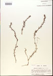 000015064-thumbnail.jpg