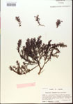 000015065-thumbnail.jpg