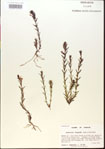 000015066-thumbnail.jpg
