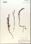 000015067-thumbnail.jpg