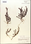 000015068-thumbnail.jpg