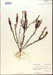 000015069-thumbnail.jpg