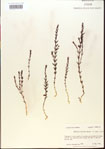 000015070-thumbnail.jpg