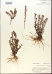 000015071-thumbnail.jpg