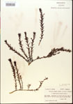 000015072-thumbnail.jpg