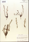 000015073-thumbnail.jpg