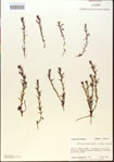 000015074-thumbnail.jpg