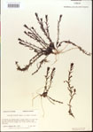 000015075-thumbnail.jpg