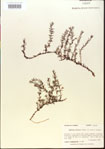 000015078-thumbnail.jpg