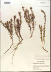 000015079-thumbnail.jpg