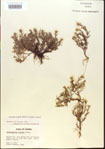 000015082-thumbnail.jpg