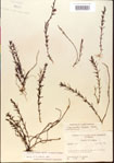 000015083-thumbnail.jpg