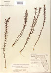 000015084-thumbnail.jpg