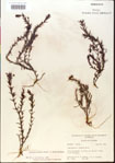 000015085-thumbnail.jpg
