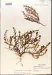 000015086-thumbnail.jpg