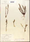 000015088-thumbnail.jpg