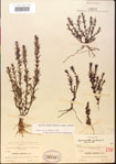 000015090-thumbnail.jpg