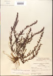000015092-thumbnail.jpg