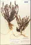 000015093-thumbnail.jpg