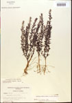 000015094-thumbnail.jpg