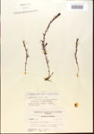 000015095-thumbnail.jpg